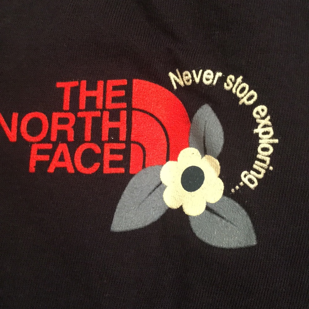 Blue medium The North Face T-shirt